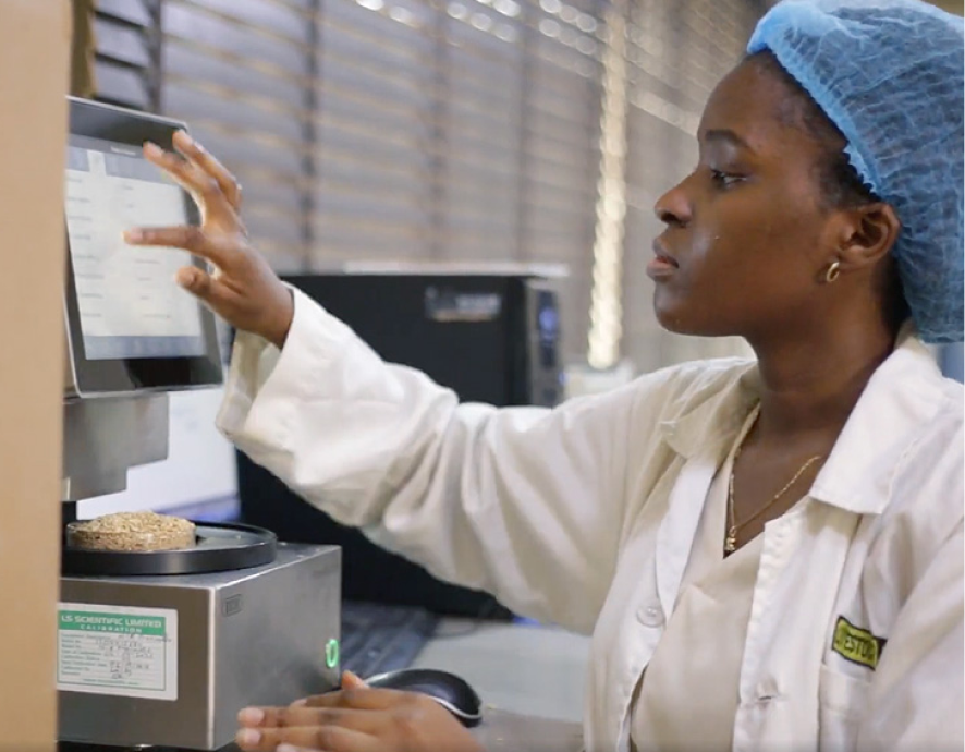 Livestock Feeds PLC website preview